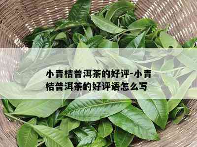 小青桔普洱茶的好评-小青桔普洱茶的好评语怎么写