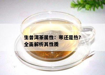 生普洱茶属性：寒还是热？全面解析其性质