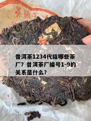 普洱茶1234代指哪些茶厂？普洱茶厂编号1-9的关系是什么？