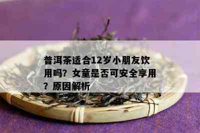 普洱茶适合12岁小朋友饮用吗？女童是不是可安全享用？起因解析