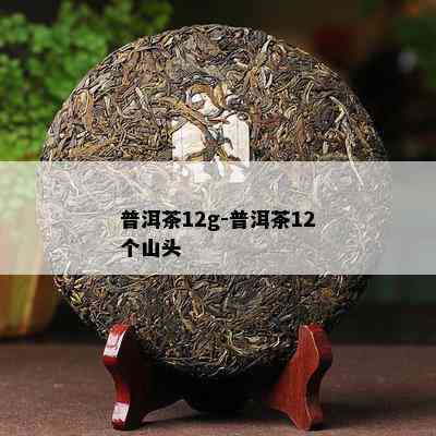 普洱茶12g-普洱茶12个山头