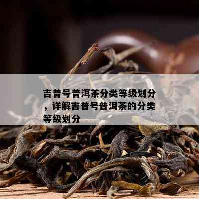 吉普号普洱茶分类等级划分，详解吉普号普洱茶的分类等级划分