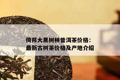 倚邦大黑树林普洱茶价格：最新古树茶价格及产地介绍