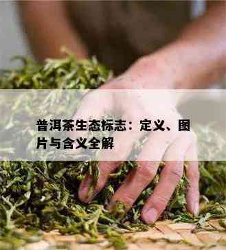 普洱茶生态标志：定义、图片与含义全解