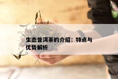 生态普洱茶的介绍：特点与优势解析