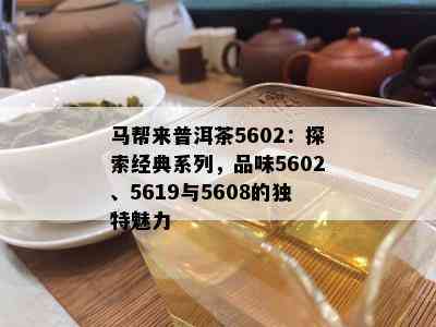 马帮来普洱茶5602：探索经典系列，品味5602、5619与5608的独特魅力