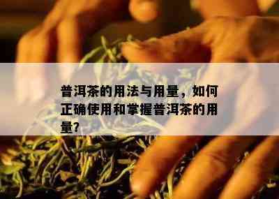 普洱茶的用法与用量，如何正确使用和掌握普洱茶的用量？