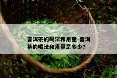 普洱茶的喝法和用量-普洱茶的喝法和用量是多少?