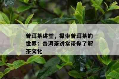 普洱茶讲堂，探索普洱茶的世界：普洱茶讲堂带你了解茶文化