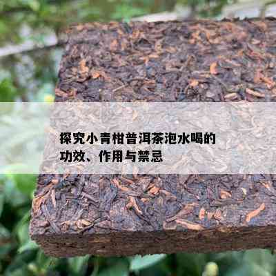 探究小青柑普洱茶泡水喝的功效、作用与禁忌