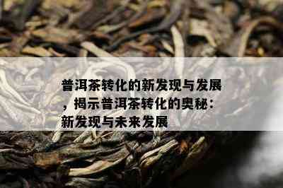 普洱茶转化的新发现与发展，揭示普洱茶转化的奥秘：新发现与未来发展