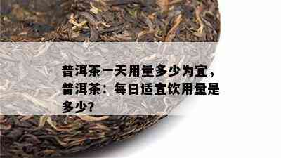 普洱茶一天用量多少为宜，普洱茶：每日适宜饮用量是多少？