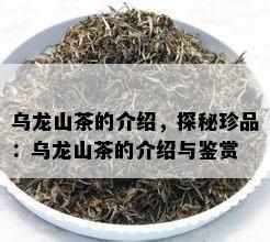 乌龙山茶的介绍，探秘珍品：乌龙山茶的介绍与鉴赏