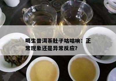 喝生普洱茶肚子咕咕响：正常现象还是异常反应？