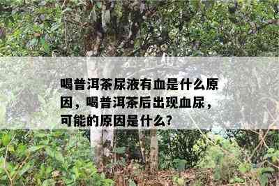 喝普洱茶尿液有血是什么起因，喝普洱茶后出现血尿，可能的起因是什么？