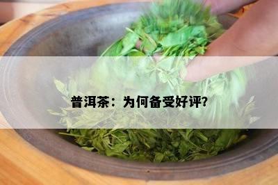 普洱茶：为何备受好评？