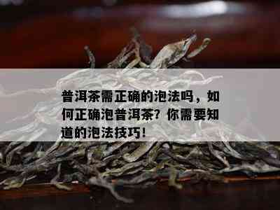 普洱茶需正确的泡法吗，如何正确泡普洱茶？你需要知道的泡法技巧！