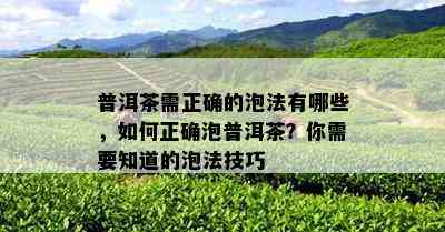 普洱茶需正确的泡法有哪些，怎样正确泡普洱茶？你需要知道的泡法技巧