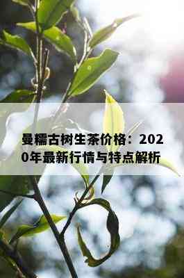 曼糯古树生茶价格：2020年最新行情与特点解析