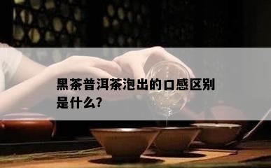 黑茶普洱茶泡出的口感区别是什么？