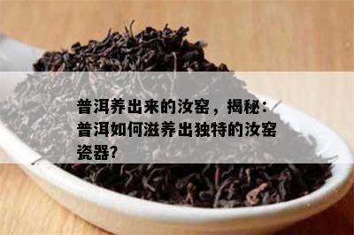 普洱养出来的汝窑，揭秘：普洱如何滋养出独特的汝窑瓷器？