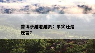 普洱茶越老越贵：事实还是谣言？