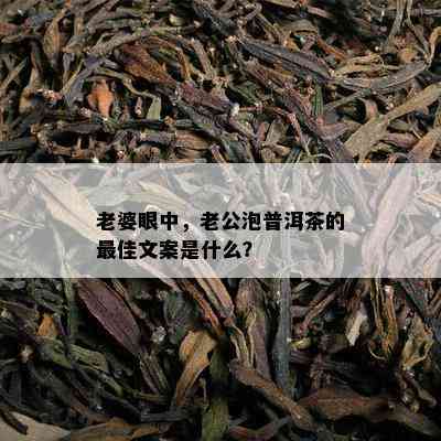 老婆眼中，老公泡普洱茶的更佳文案是什么？