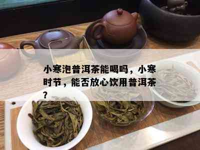 小寒泡普洱茶能喝吗，小寒时节，能否放心饮用普洱茶？