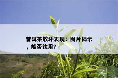 普洱茶放坏表现：图片揭示，能否饮用？