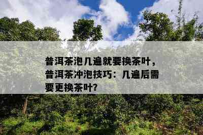 普洱茶泡几遍就要换茶叶，普洱茶冲泡技巧：几遍后需要更换茶叶？