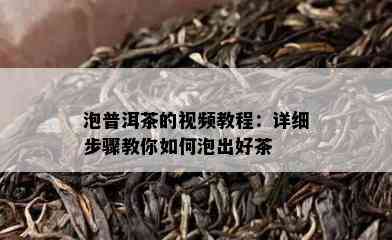 泡普洱茶的视频教程：详细步骤教你怎样泡出好茶