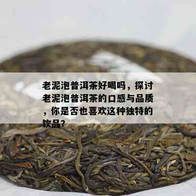 老泥泡普洱茶好喝吗，探讨老泥泡普洱茶的口感与品质，你是否也喜欢这种独特的饮品？