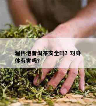 漏杯泡普洱茶安全吗？对身体有害吗？