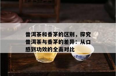 普洱茶和香茅的区别，探究普洱茶与香茅的差异：从口感到功效的全面对比