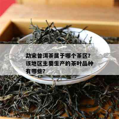 勐宋普洱茶属于哪个茶区？该地区主要生产的茶叶品种有哪些？