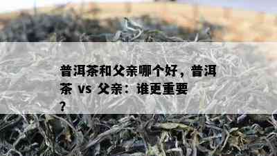 普洱茶和父亲哪个好，普洱茶 vs 父亲：谁更关键？