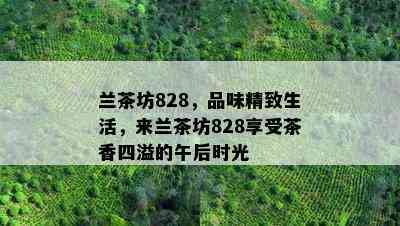 兰茶坊828，品味精致生活，来兰茶坊828享受茶香四溢的午后时光