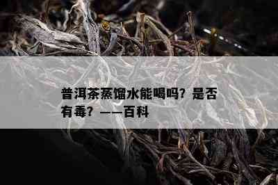 普洱茶蒸馏水能喝吗？是不是有？——百科