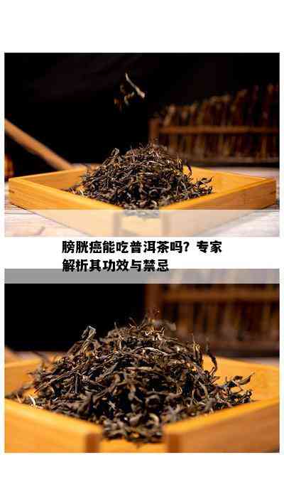 膀胱癌能吃普洱茶吗？专家解析其功效与禁忌