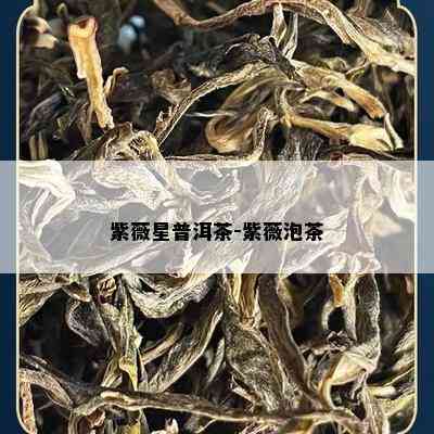 紫薇星普洱茶-紫薇泡茶