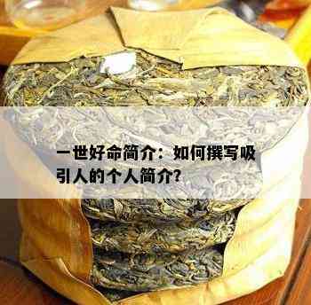 一世好命简介：怎样撰写吸引人的个人简介？