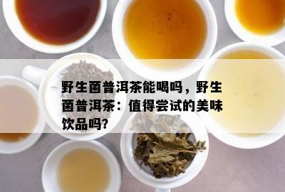 野生菌普洱茶能喝吗，野生菌普洱茶：值得尝试的美味饮品吗？