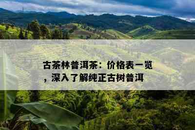 古茶林普洱茶：价格表一览，深入熟悉纯正古树普洱