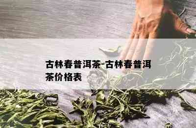 古林春普洱茶-古林春普洱茶价格表