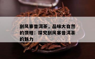 刮风寨普洱茶，品味大自然的馈赠：探究刮风寨普洱茶的魅力