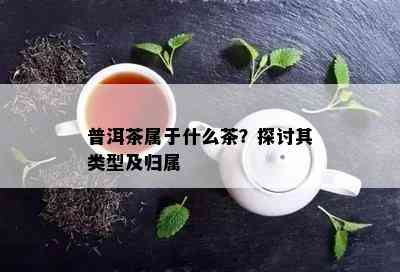 普洱茶属于什么茶？探讨其类型及归属