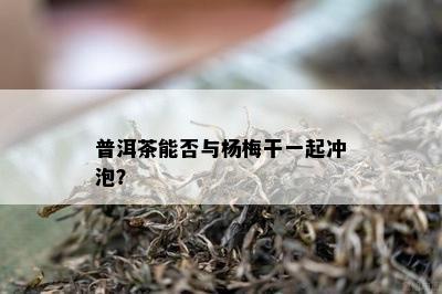 普洱茶能否与杨梅干一起冲泡？