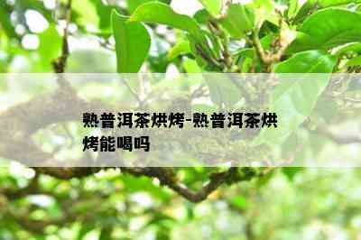 熟普洱茶烘烤-熟普洱茶烘烤能喝吗