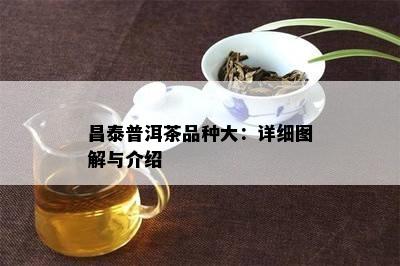 昌泰普洱茶品种大：详细图解与介绍