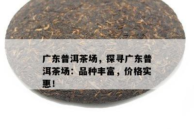 广东普洱茶场，探寻广东普洱茶场：品种丰富，价格实惠！